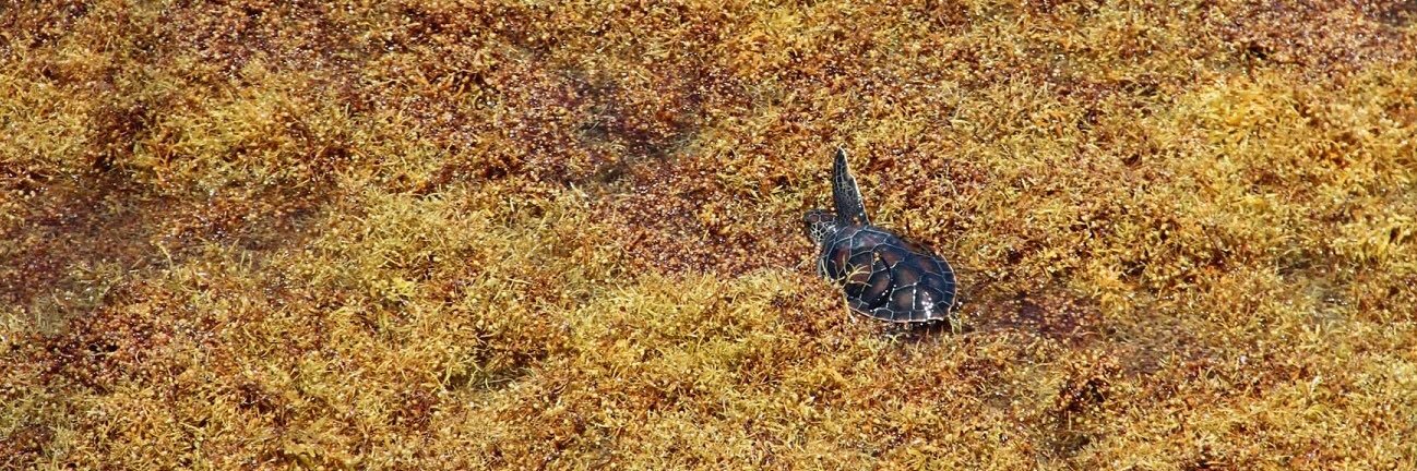 I moved: katemansfield.bsky.social banner