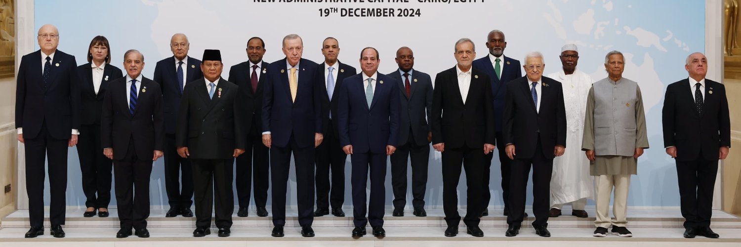 Developing-8 (D-8) banner