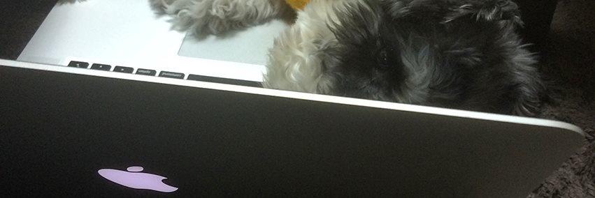 atropos72's profile banner image