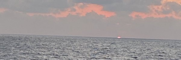 najjar Profile Banner