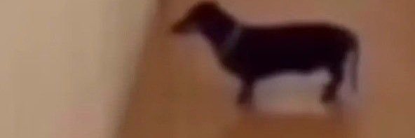 d banner