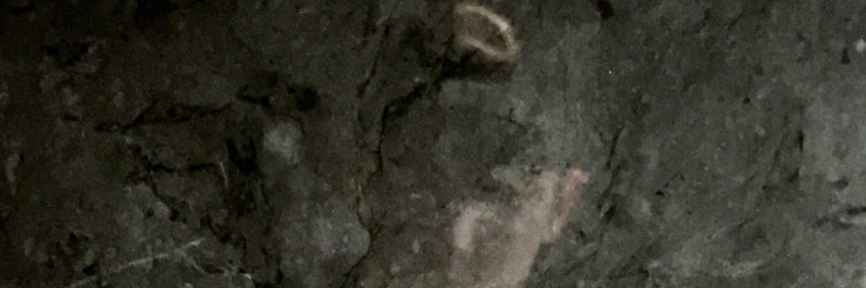 🥽 banner
