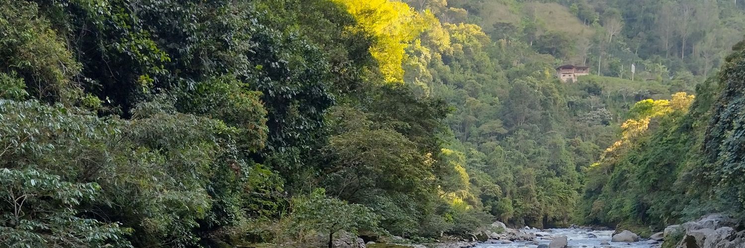 jeankrb's profile banner image
