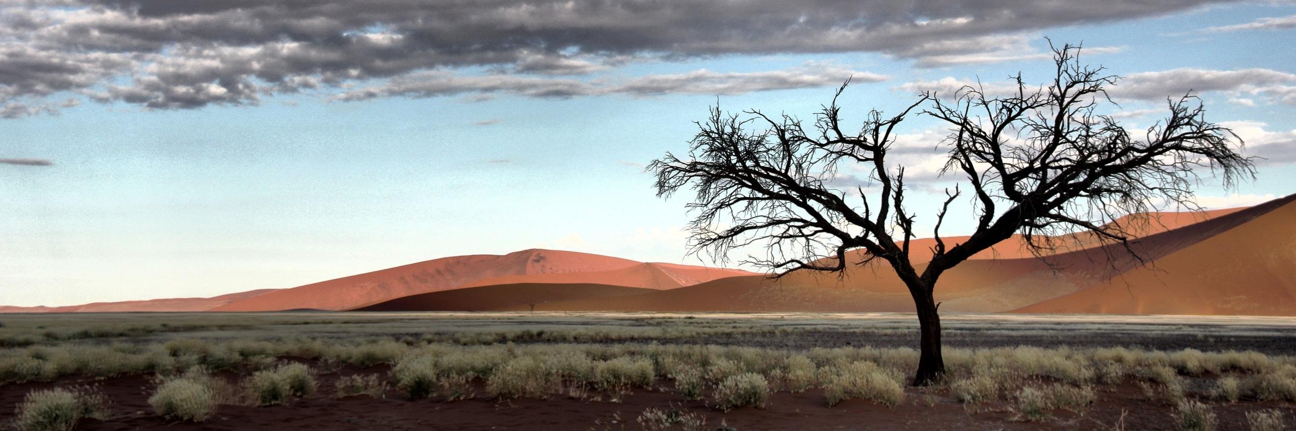 ainasm's profile banner image