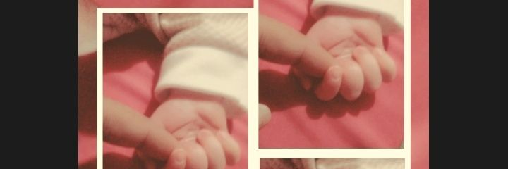 Nahed A. Nasser banner