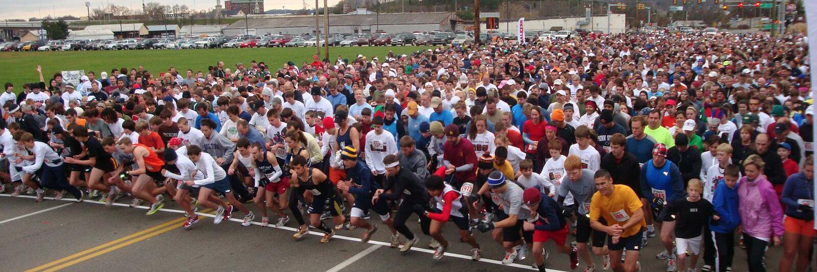 TheGooseChase banner