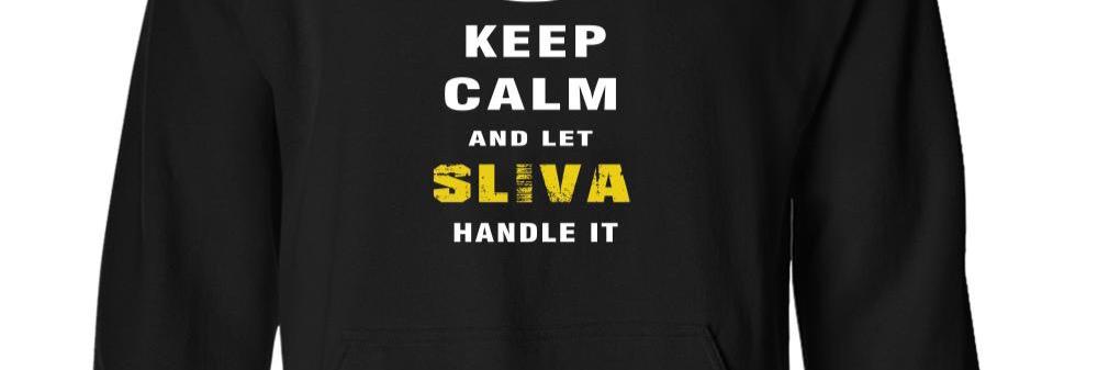 Steven Sliva banner