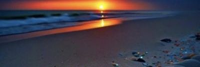 Lara Wht banner