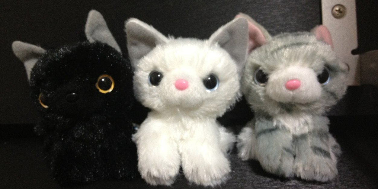 momotarochi's profile banner image