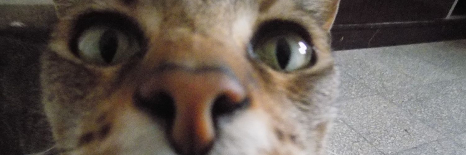 dirtylua_'s profile banner image