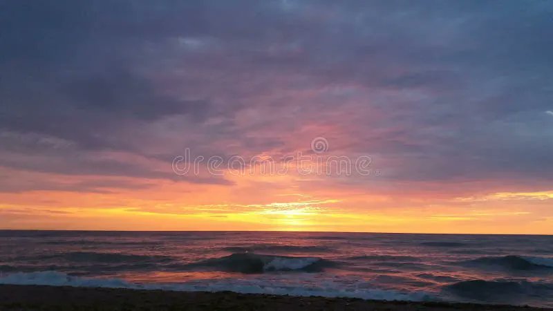 Freedom Lover banner