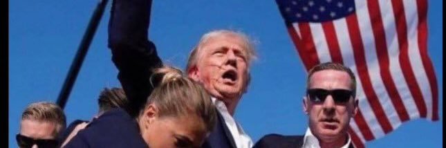 Snapping1Turtle banner