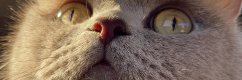 simsekelff's profile banner image