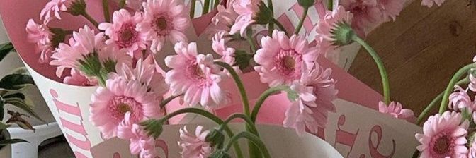 nas 🪐🍀 banner