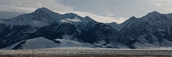 SoftwarmLLC Profile Banner