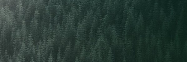 dataforestnet Profile Banner