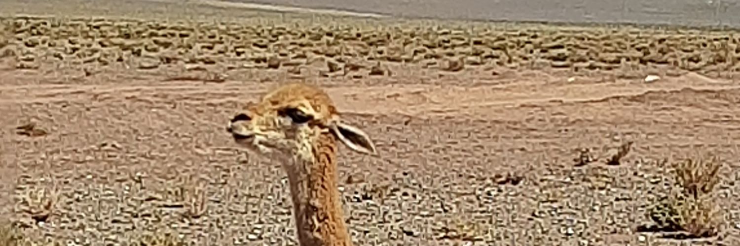 Juanchiss96's profile banner image