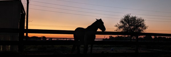 meblk Profile Banner