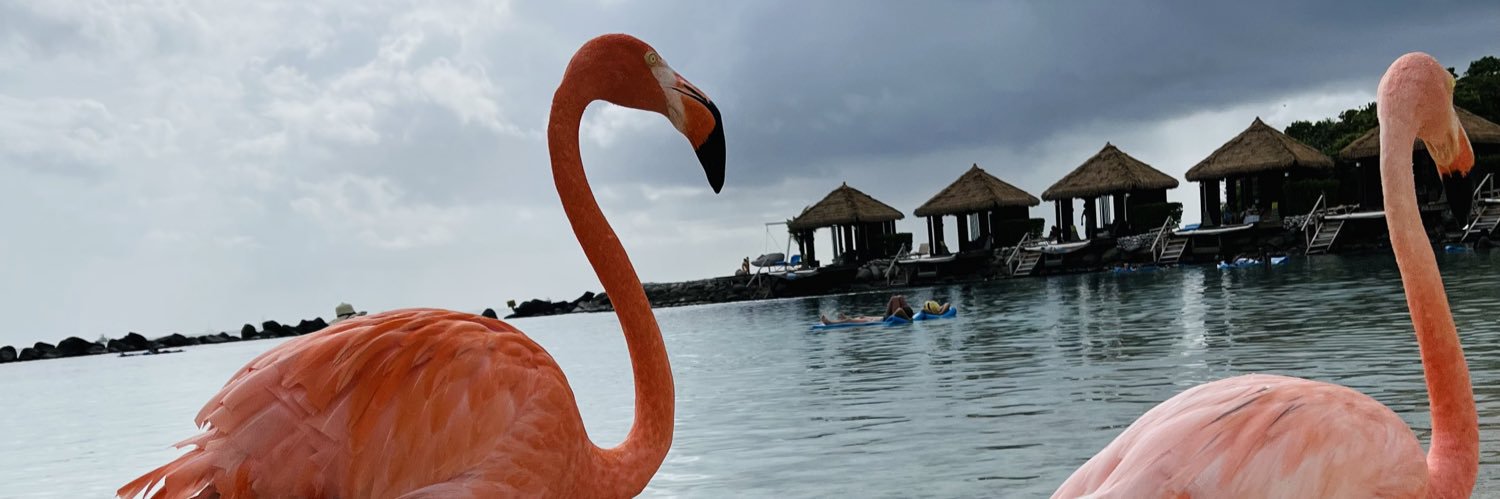 🌷мαяια αиgєℓ 🌷 banner