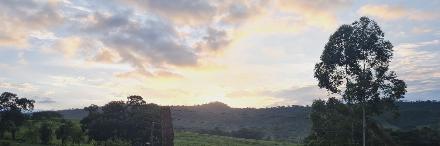 Marcelo Marcotullio banner