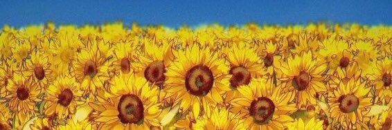 NickyL510's profile banner image