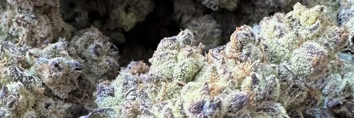 The Grow Room banner
