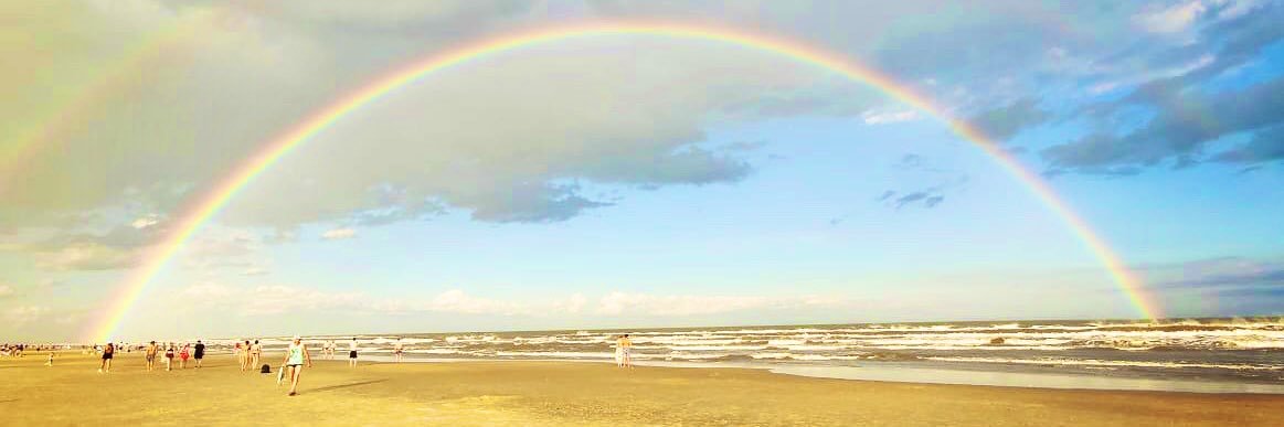 aimelivradomal's profile banner image