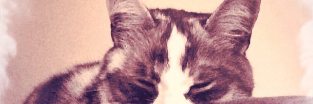 Nicoleevi's profile banner image