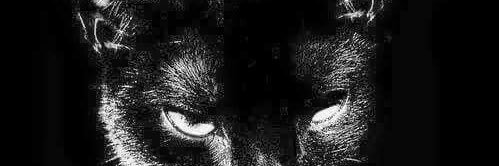 cigarettesraw's profile banner image