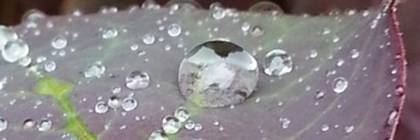 YouCANlearn81 Profile Banner