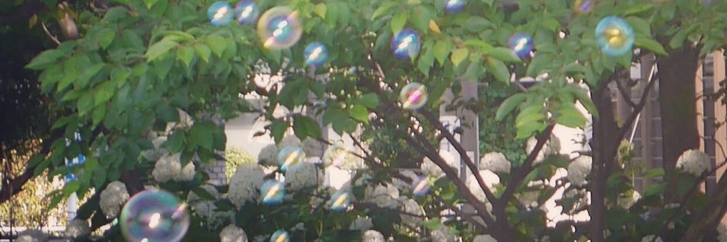 SSpipo's profile banner image