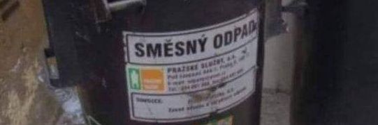 🪿🦚 ✧⁠*⁠。 banner