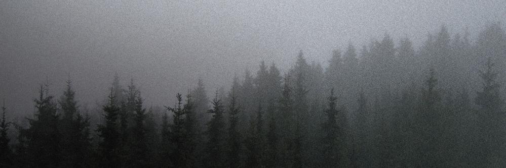 Surtrheimen's profile banner image