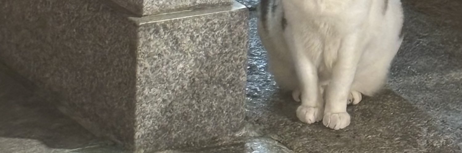 Ron_Gen_'s profile banner image