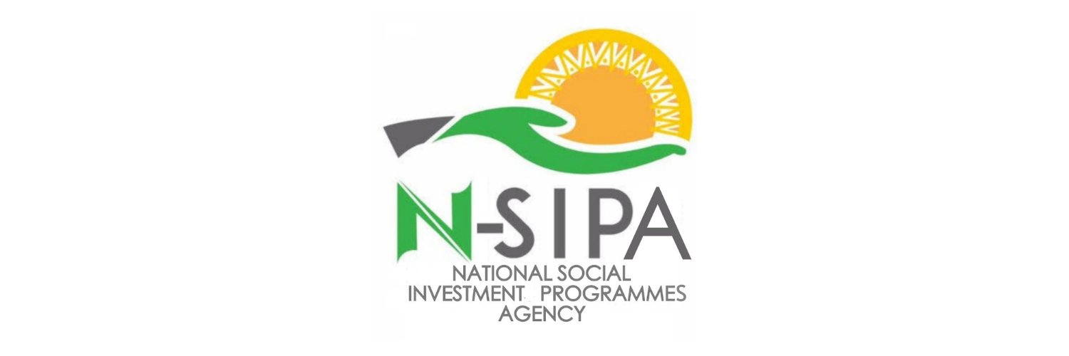 NSIPA banner