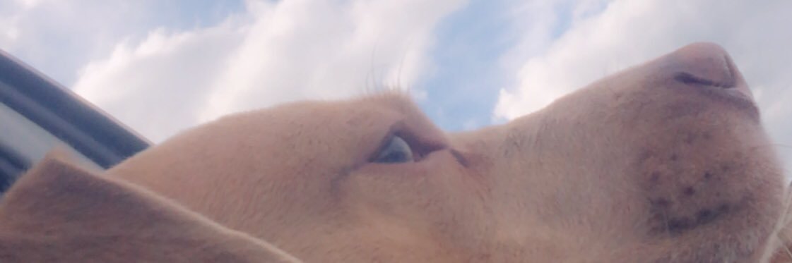 PrettyAsxShae_'s profile banner image