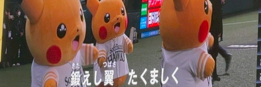 もちぐまん□勉強趣味垢 banner