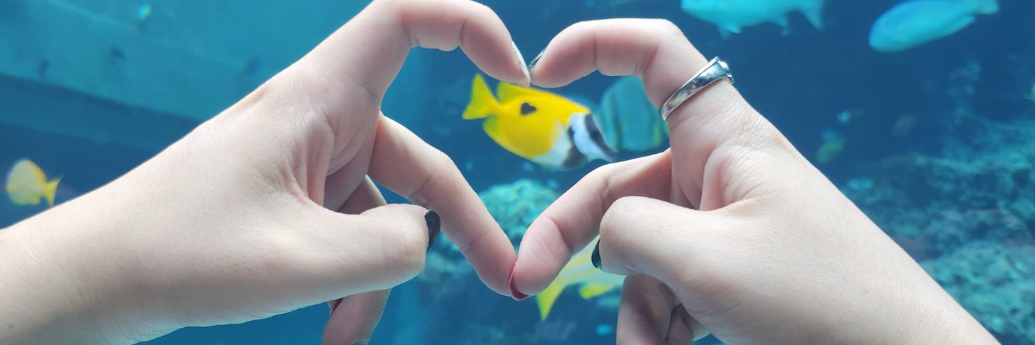 大将軍めるてぃ♂ banner