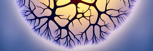 MCCStweets Profile Banner