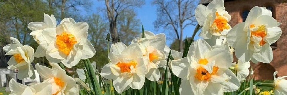 小飞侠（互fo）'s banner