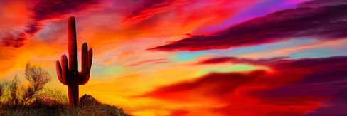 Latinaloving69's profile banner image