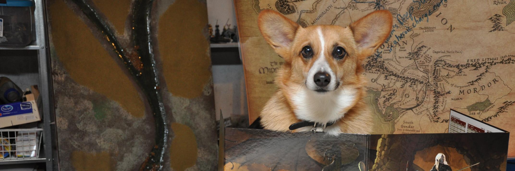 SuddenlyCorgis banner