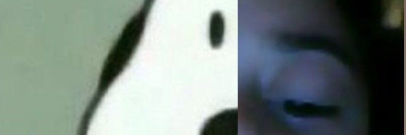 han0o0usha's profile banner image