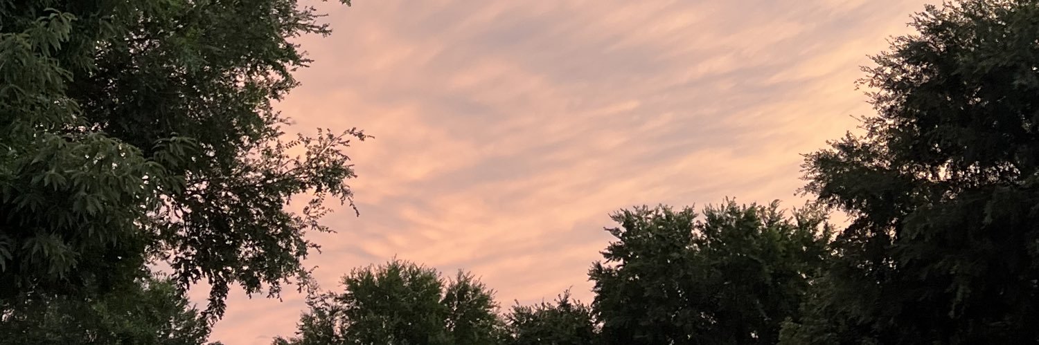 NickiGonelli's profile banner image