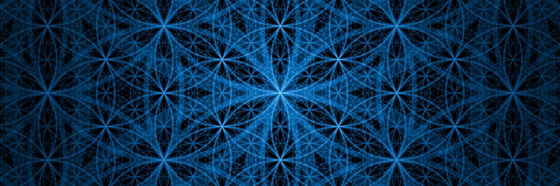 David Kamnitzer banner