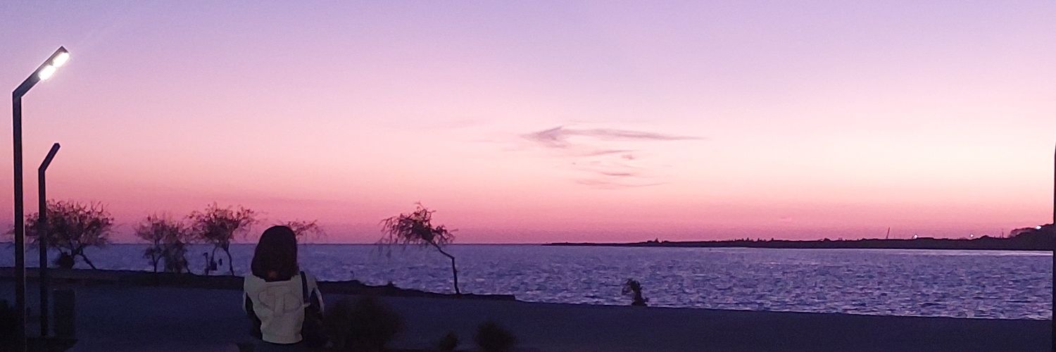Chimuelo banner