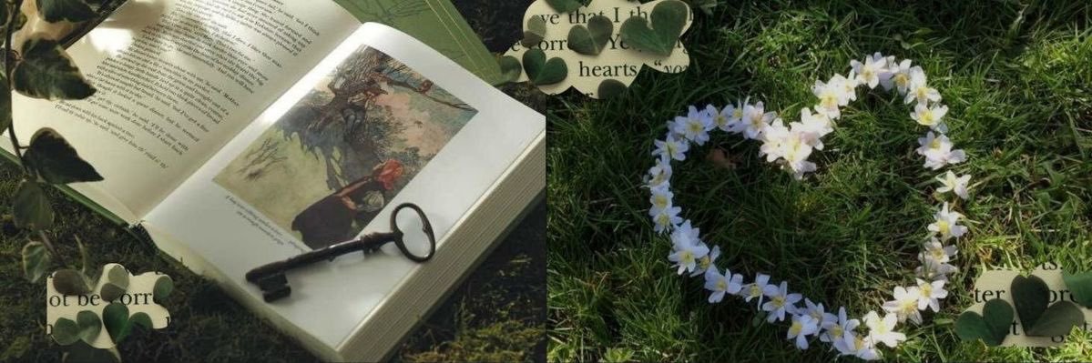 ˙ . ꒷ 𝒞𝒶𝓉𝓎 banner