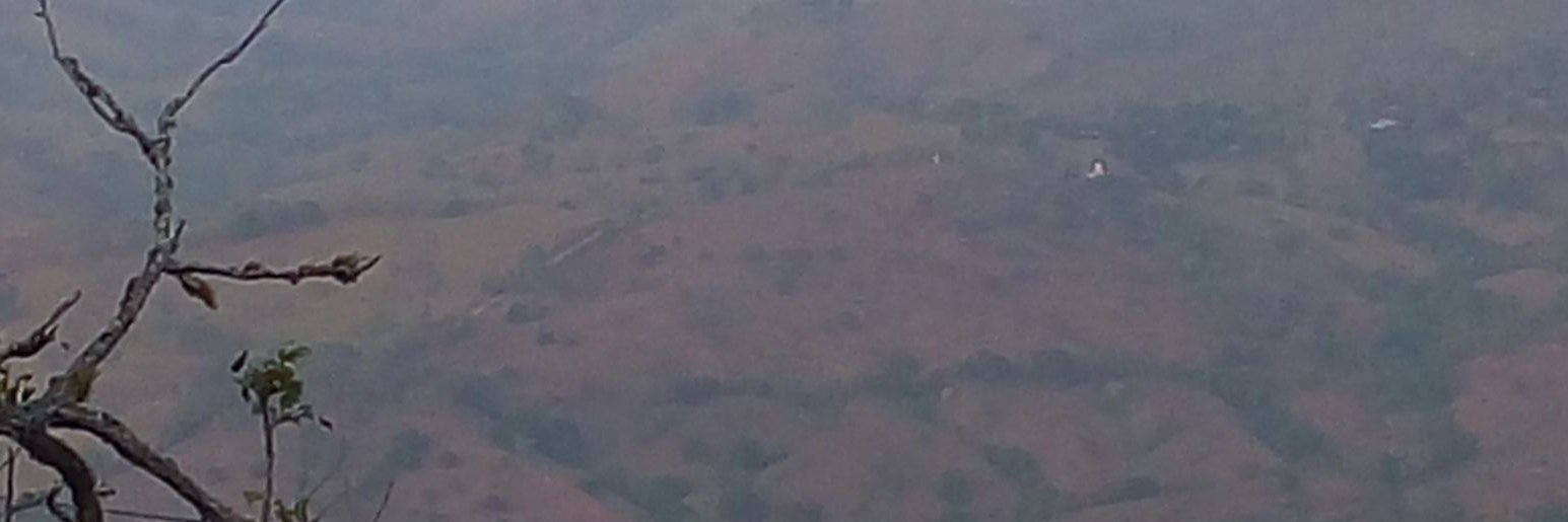 vingvasq banner