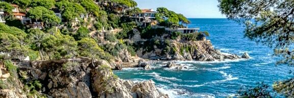 Nicole Biarnes banner