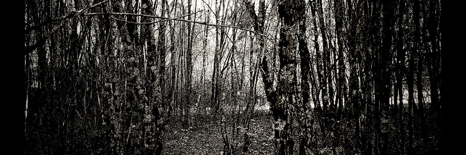 bubens's profile banner image